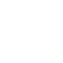 BM Logo